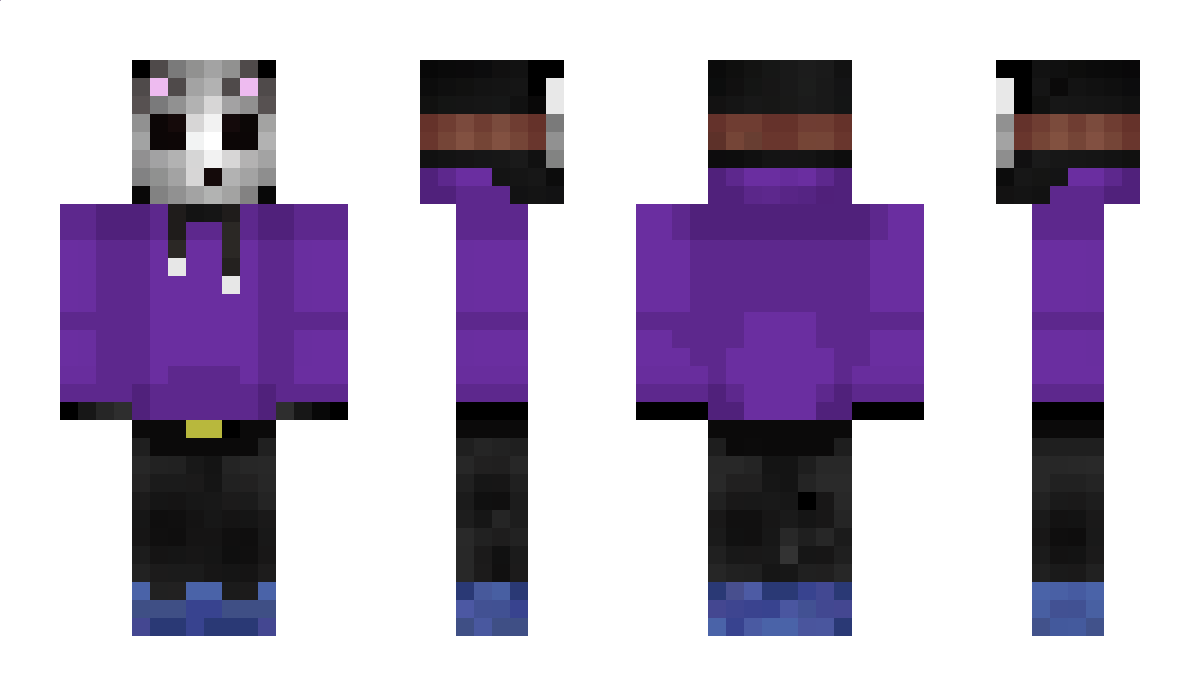 zSim Minecraft Skin