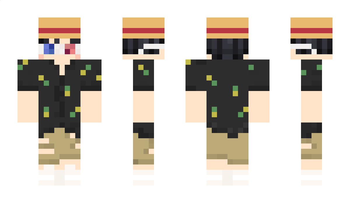 ProNik0 Minecraft Skin