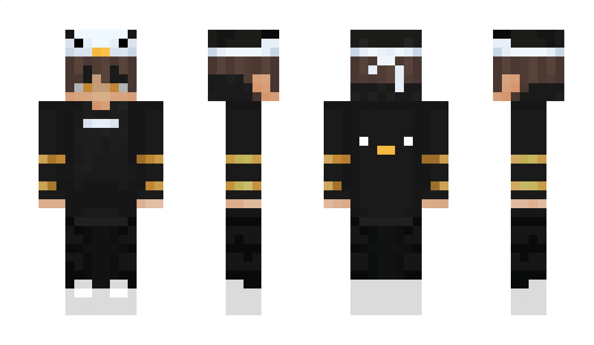 Rbrine Minecraft Skin