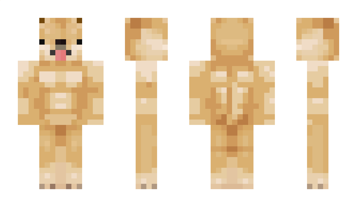 CyberNinjapl Minecraft Skin