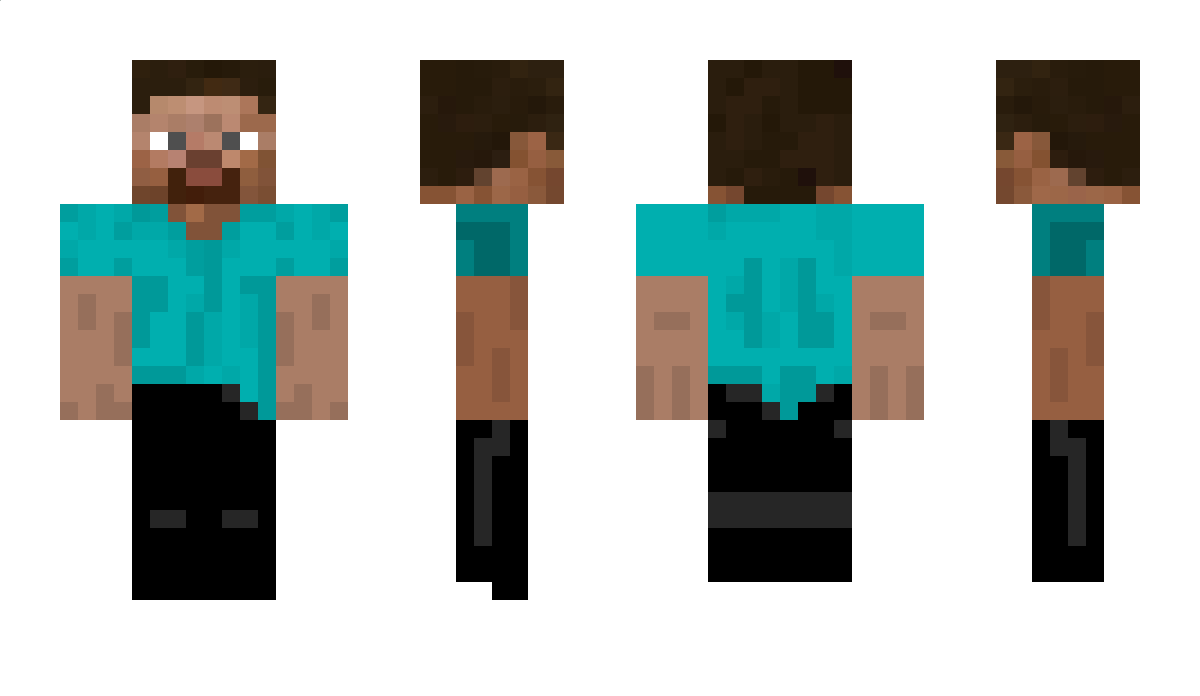 broisSTEVE Minecraft Skin