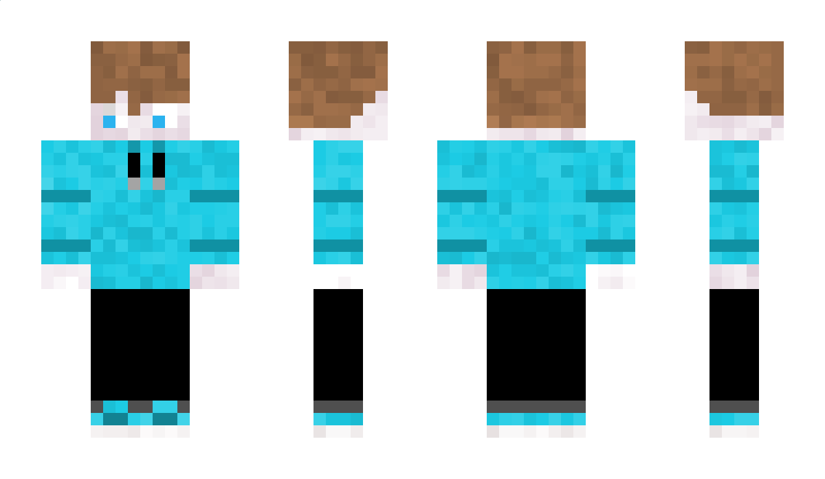 DasNoooel Minecraft Skin