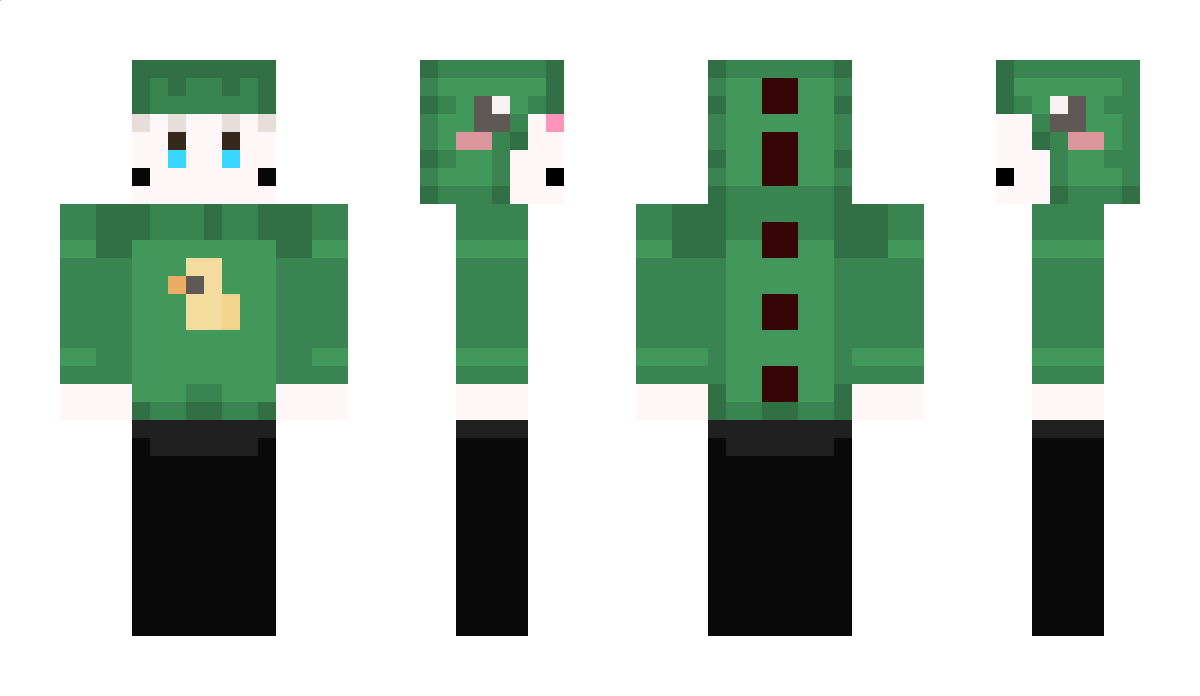 Decobuch Minecraft Skin