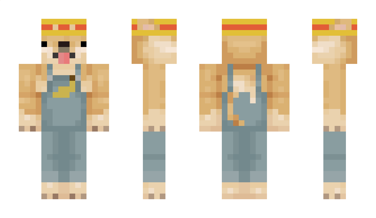 CatMain Minecraft Skin