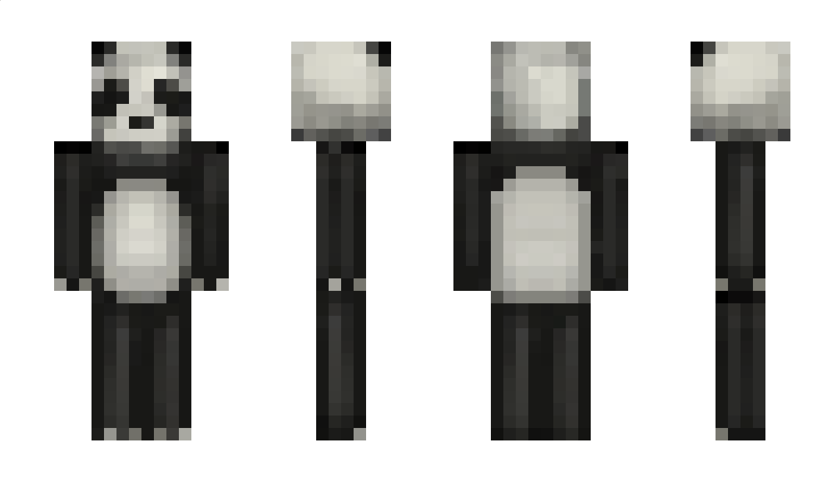 paris91 Minecraft Skin