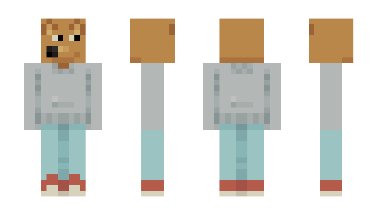 raccoonISBOSS001 Minecraft Skin