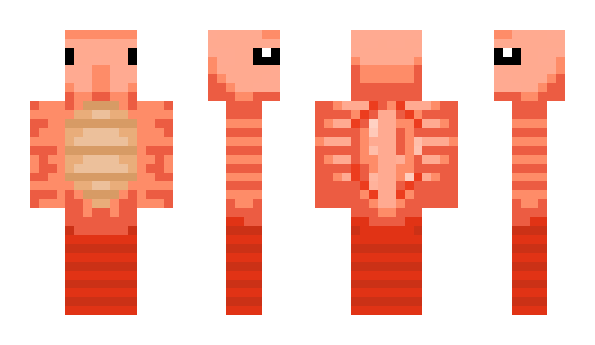 Flying_shrimp Minecraft Skin