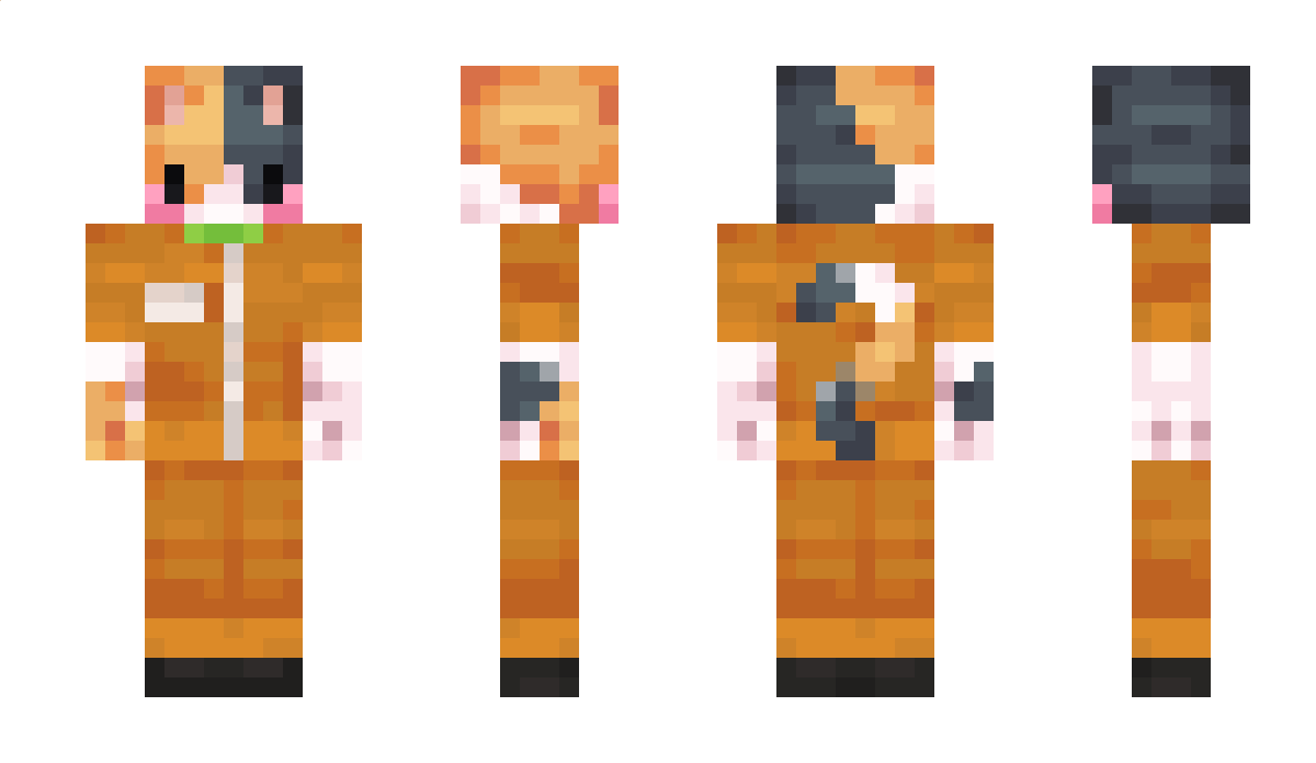 SENDWI5CH Minecraft Skin