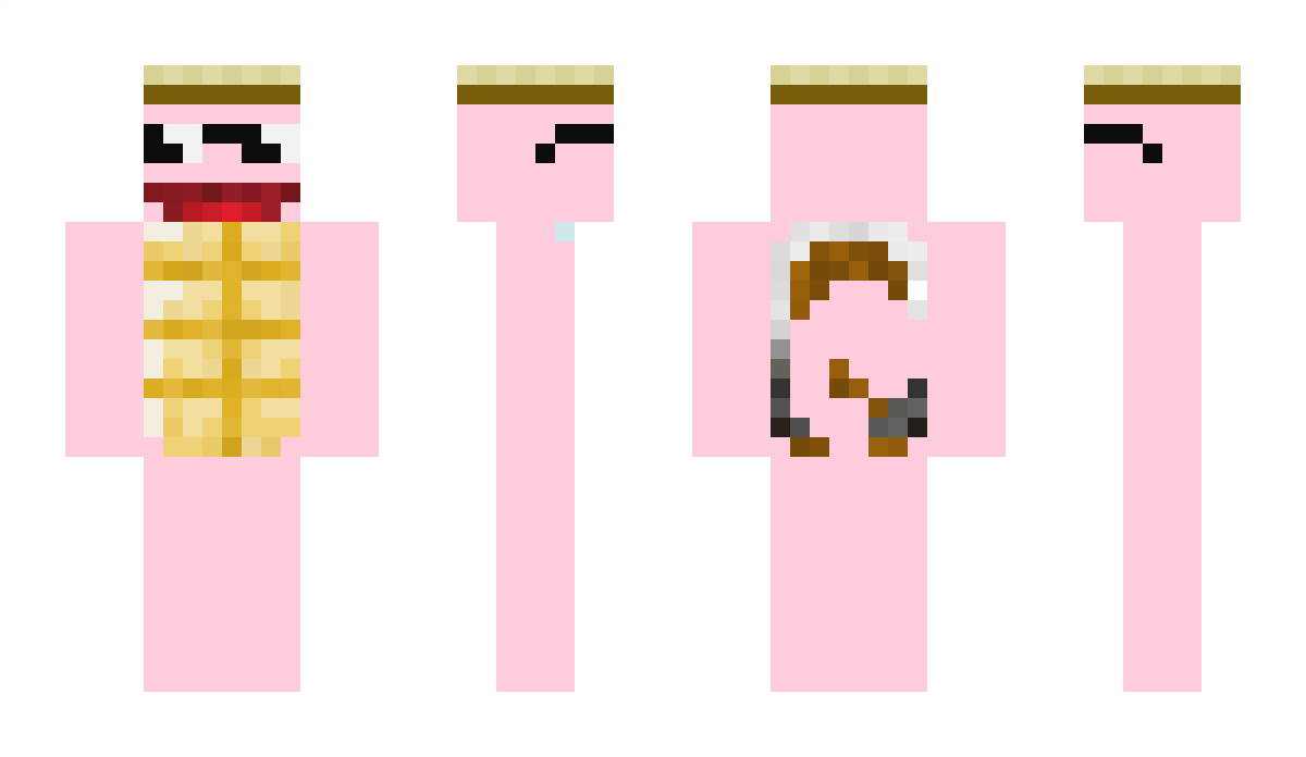 PinkSquirtle Minecraft Skin