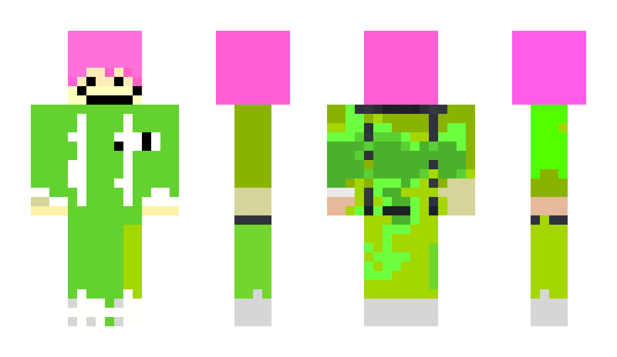 xiaodmi5 Minecraft Skin