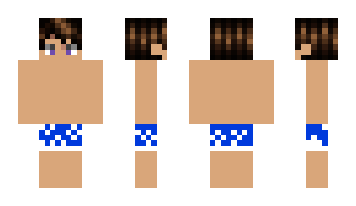 DM1600 Minecraft Skin