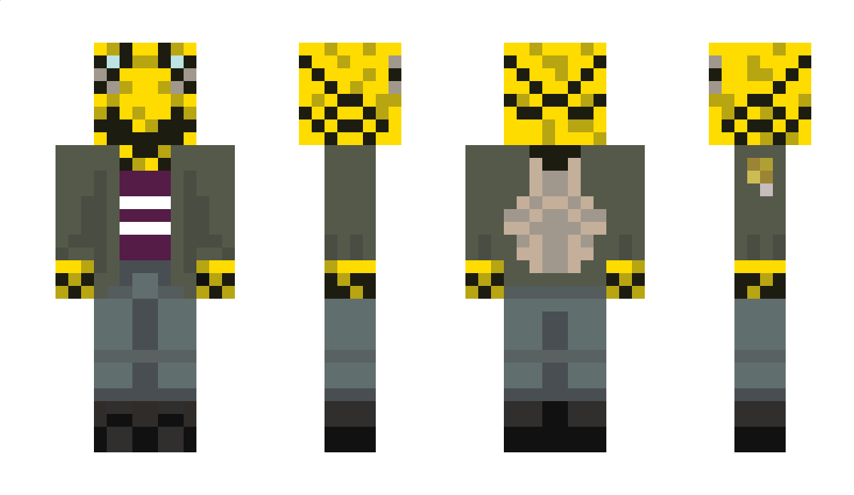 HoneyCombCombat Minecraft Skin