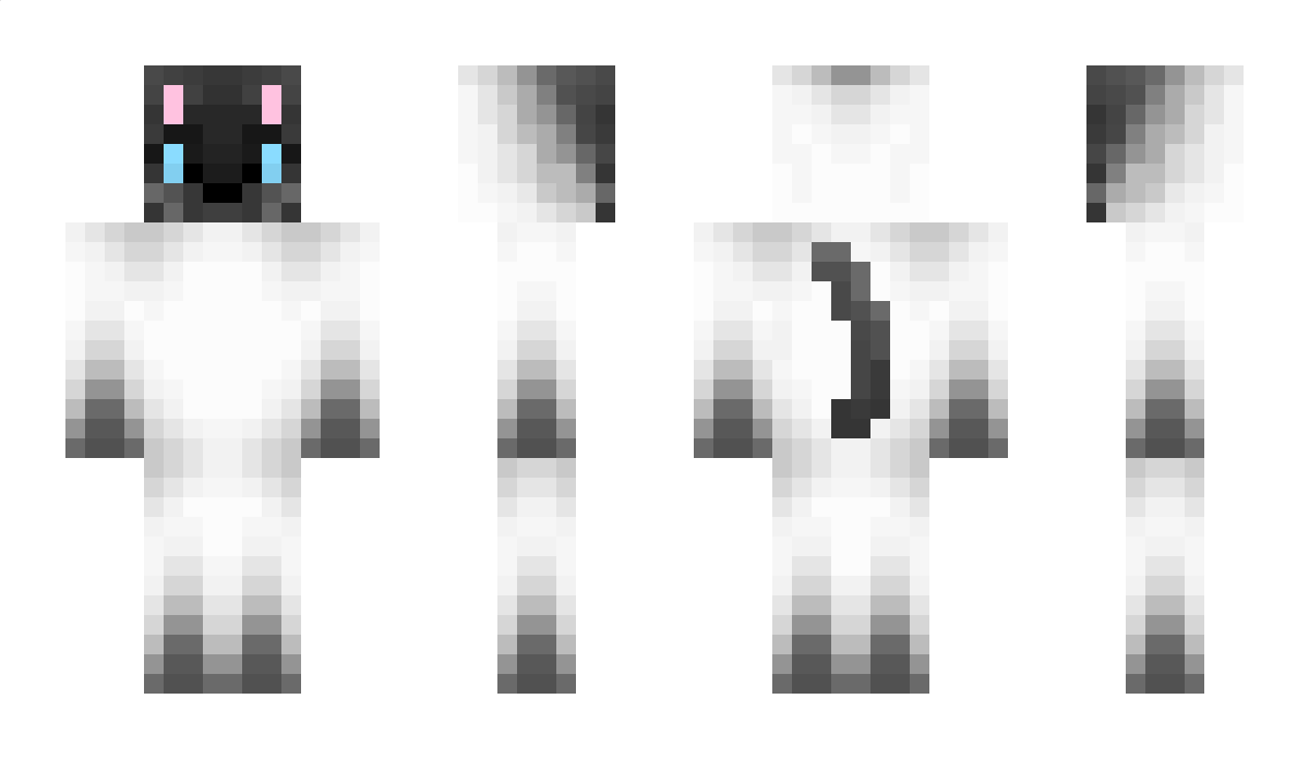 Opposite Minecraft Skin