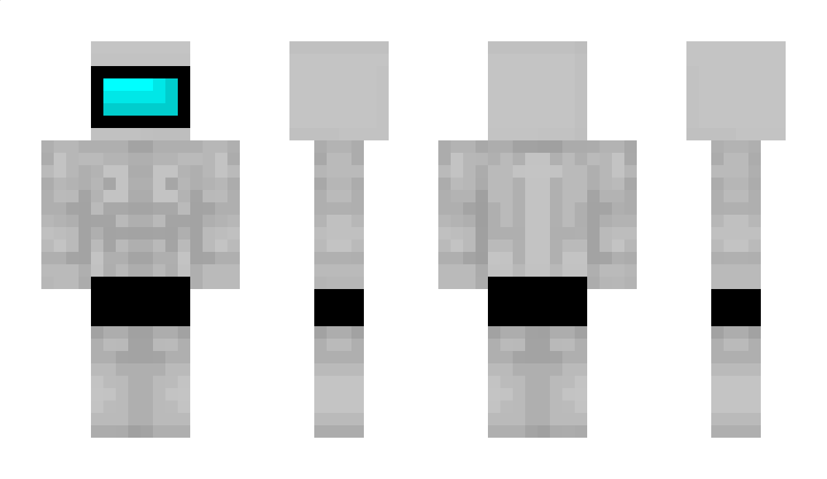 napil Minecraft Skin