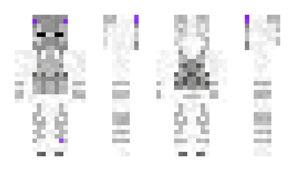 Suricata202 Minecraft Skin