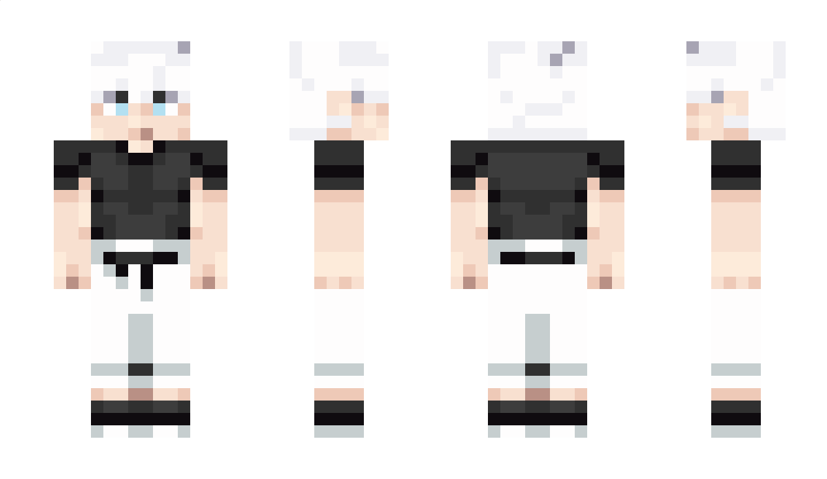 N1Swift Minecraft Skin