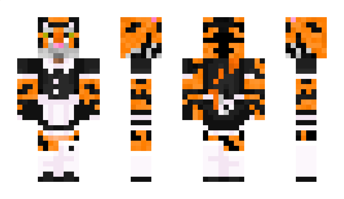 RobsonTigerPl Minecraft Skin