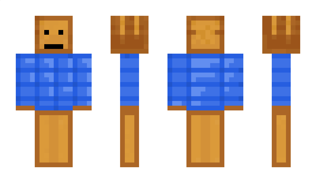 obudzsie Minecraft Skin