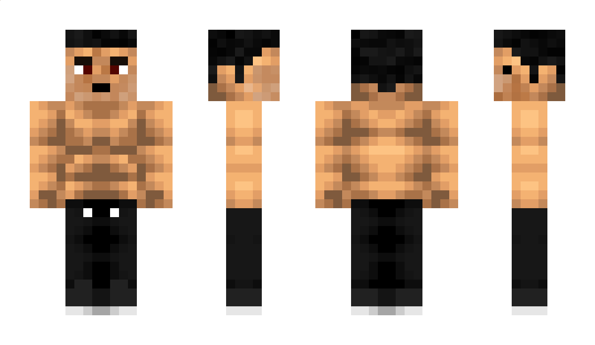 hou4804 Minecraft Skin