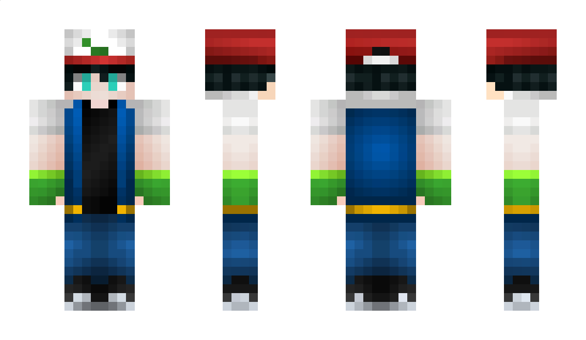 Davidpetit Minecraft Skin