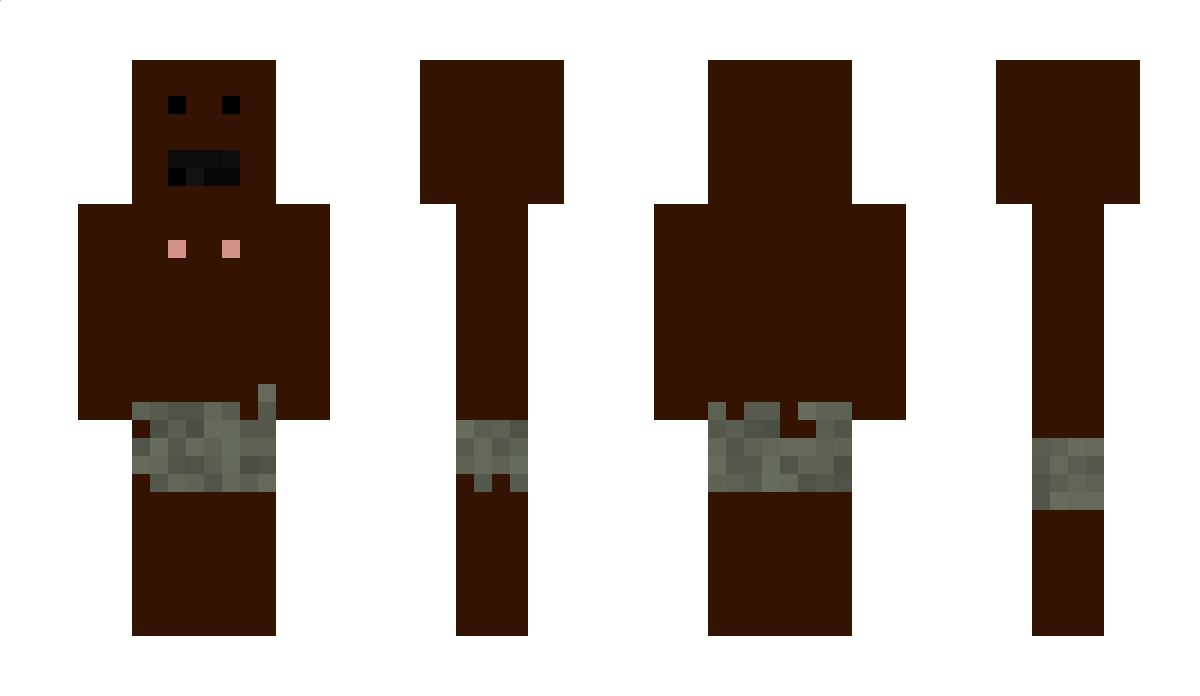 coinsfr Minecraft Skin