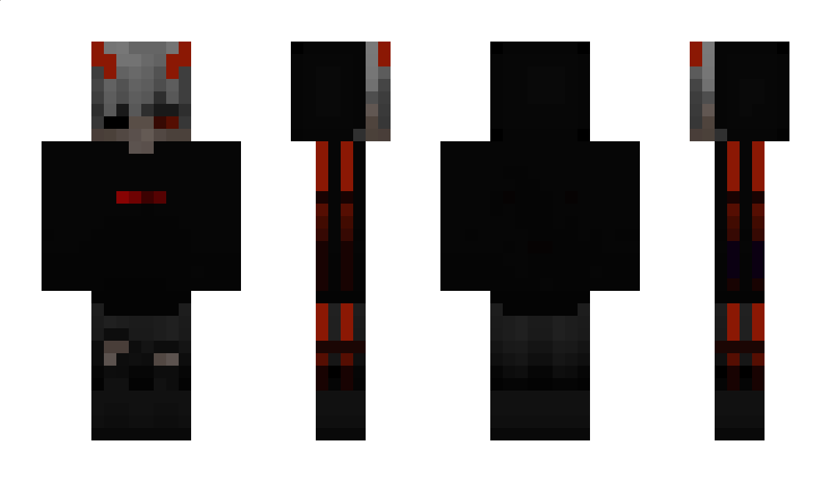 dragon2555 Minecraft Skin