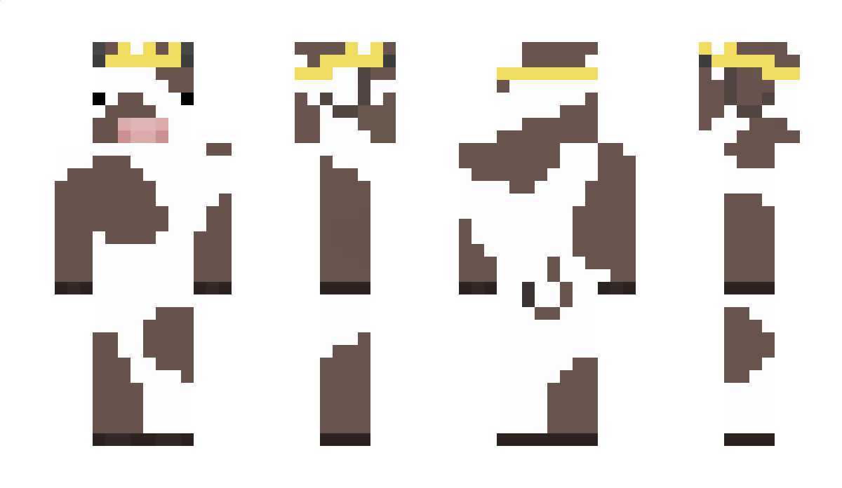 LilRobotMan Minecraft Skin