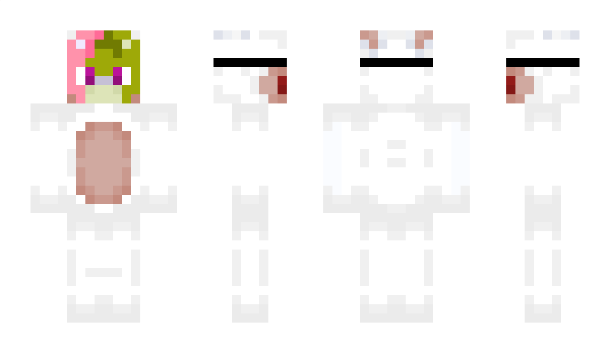 Smaillor Minecraft Skin