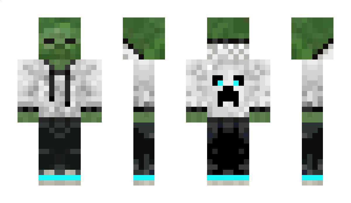 DragonLegacy Minecraft Skin