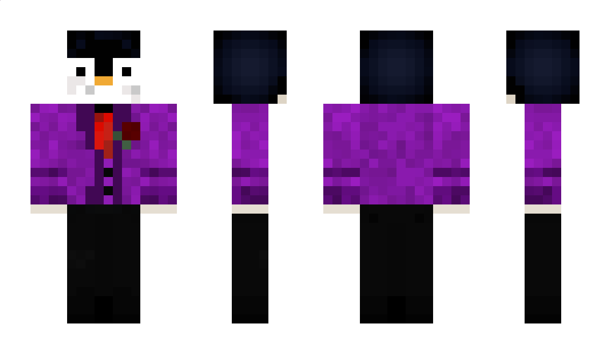 pinwixd Minecraft Skin