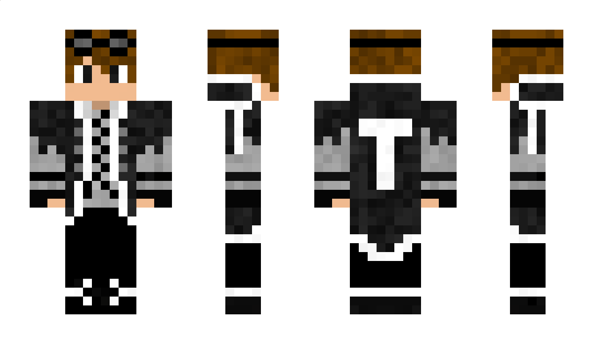 _TheTechGuy_ Minecraft Skin