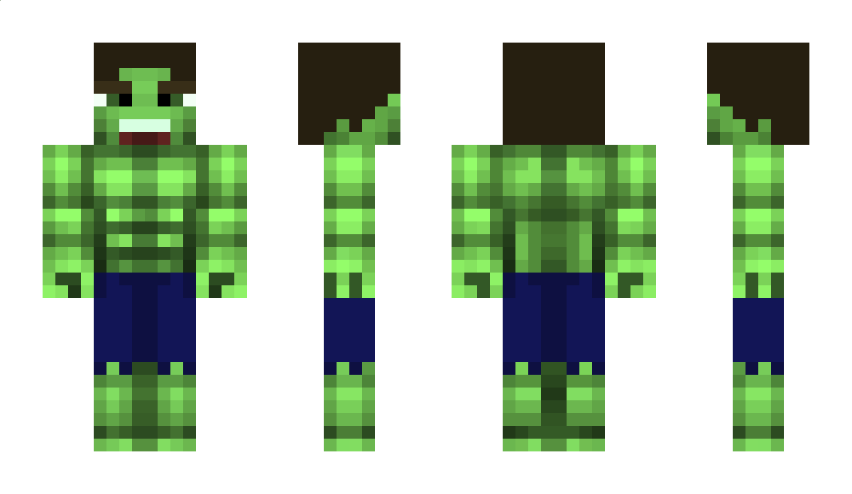 Parafin1306 Minecraft Skin