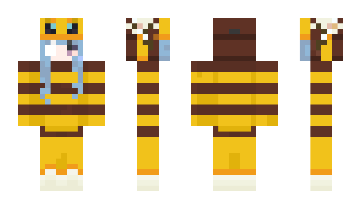 AnkiWeb Minecraft Skin