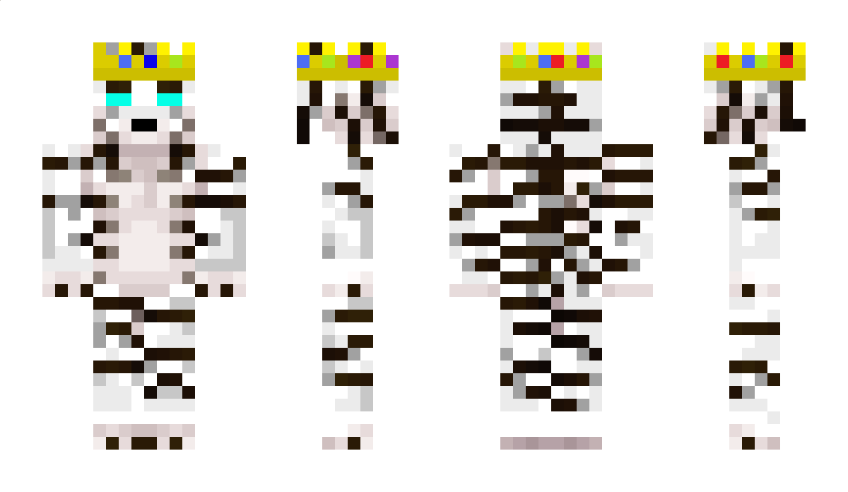 Sonhire Minecraft Skin