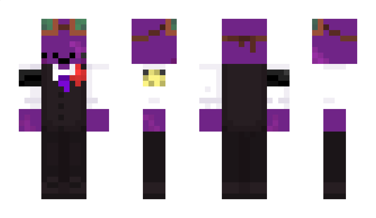 shmeeee Minecraft Skin