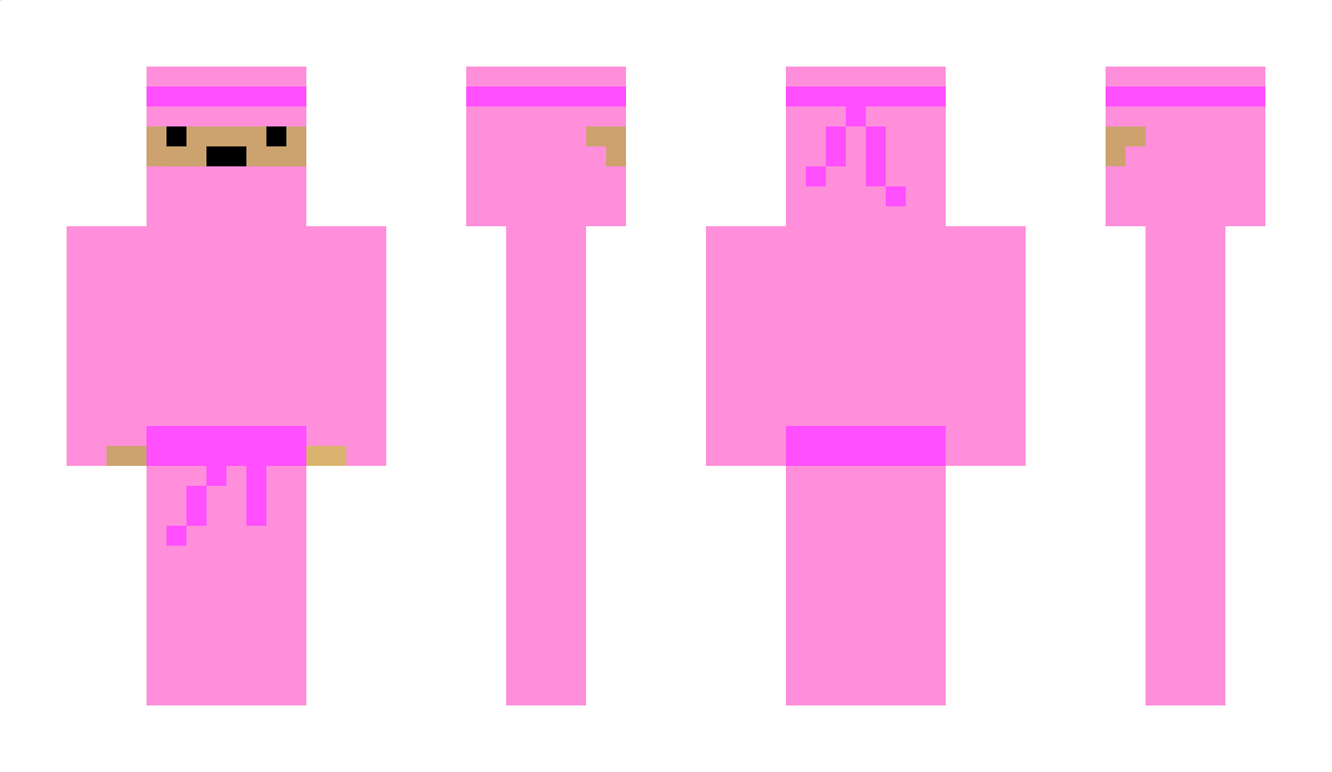 Stage Minecraft Skin