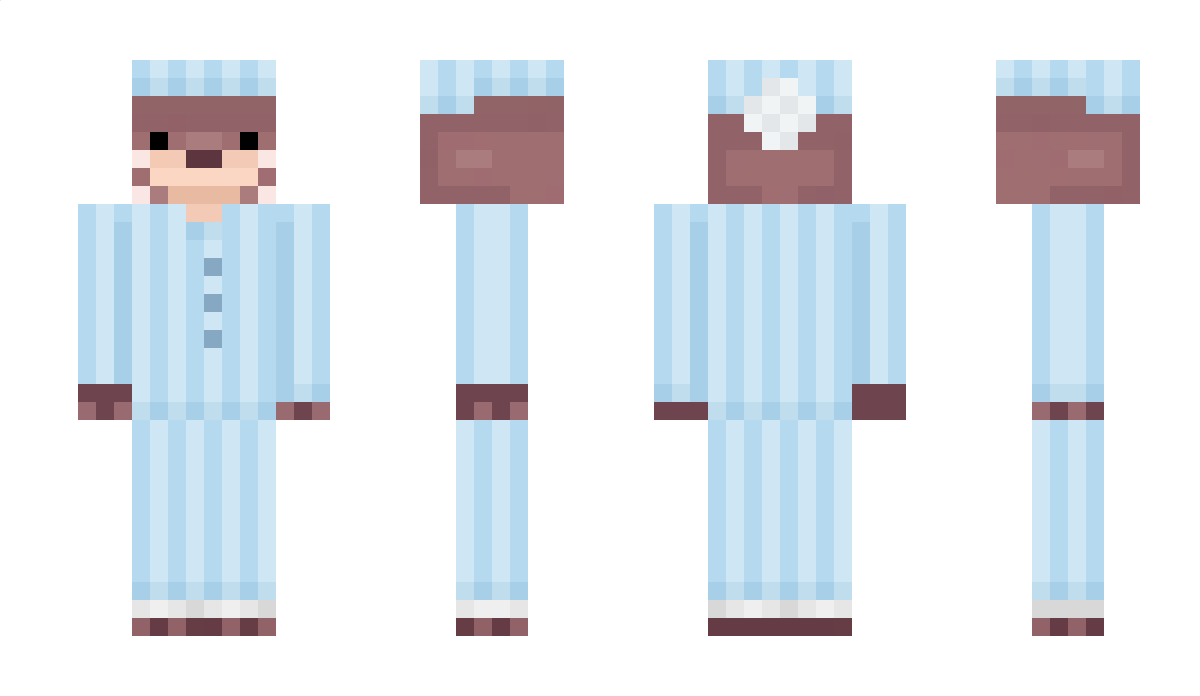 Ottersatnight Minecraft Skin