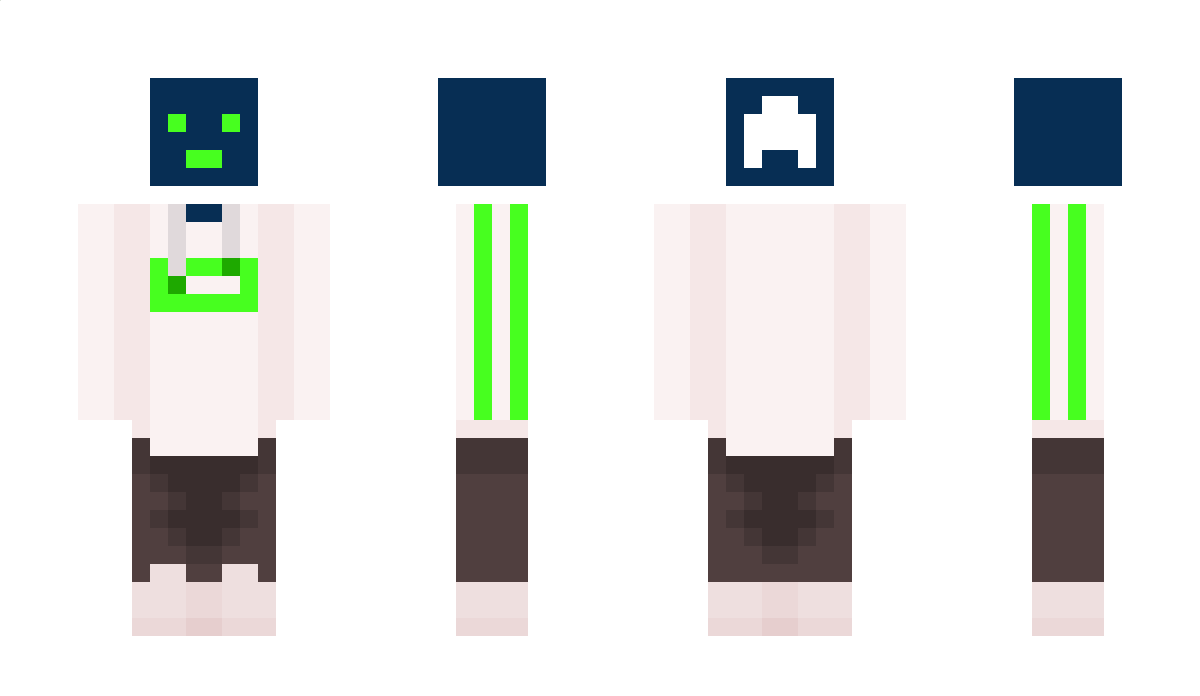 MiniMapped Minecraft Skin