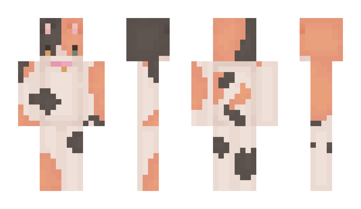 Sockey2014 Minecraft Skin