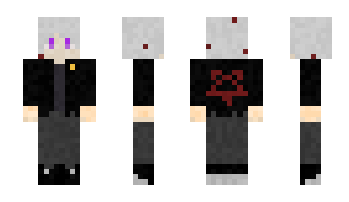 pioner_haip Minecraft Skin