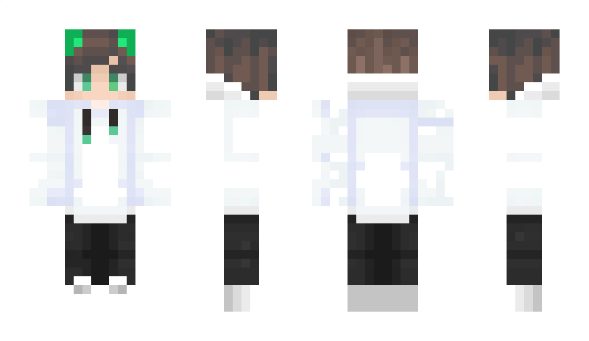 ZeoNight Minecraft Skin