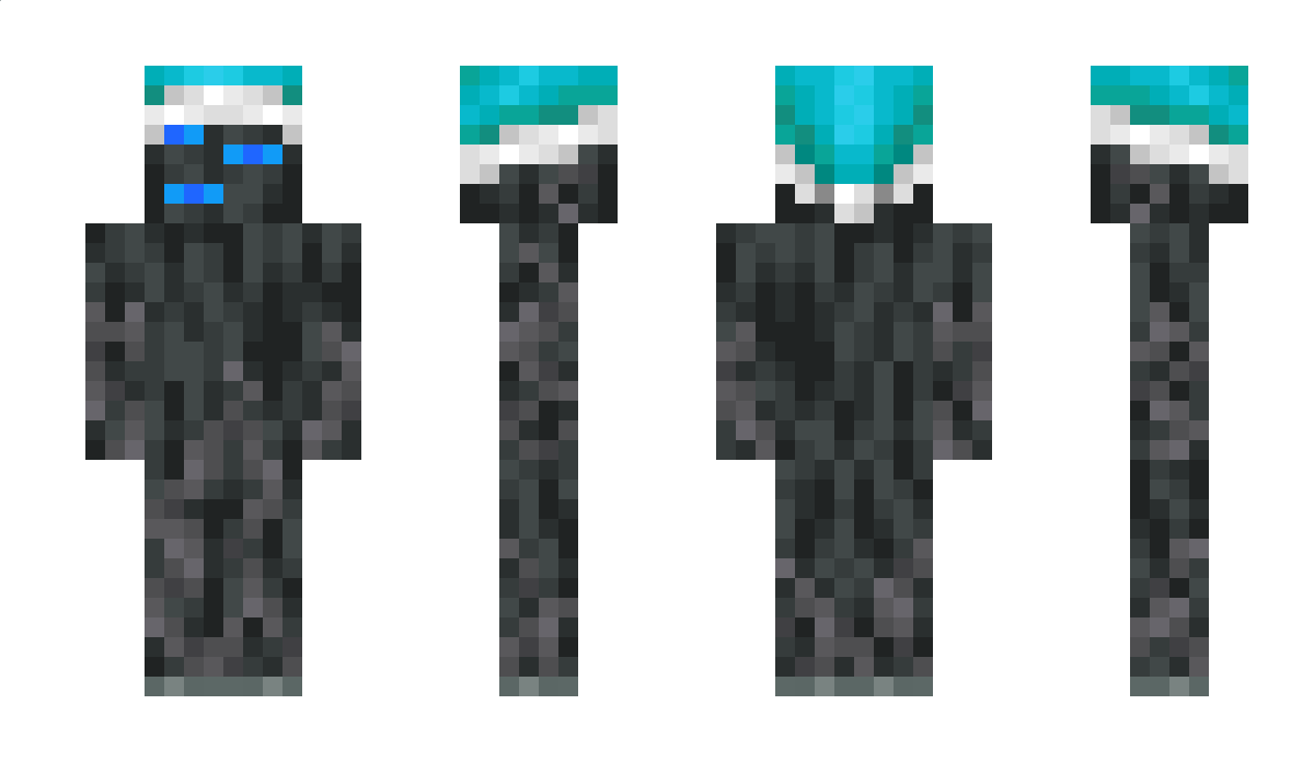 TudorX_ee08 Minecraft Skin