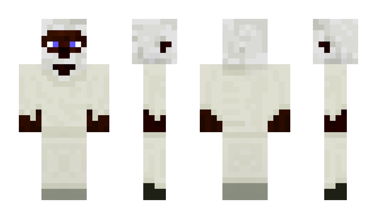 SSN Minecraft Skin