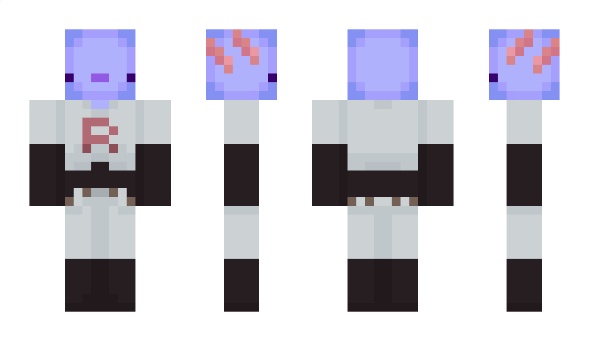 ninja12345678901 Minecraft Skin