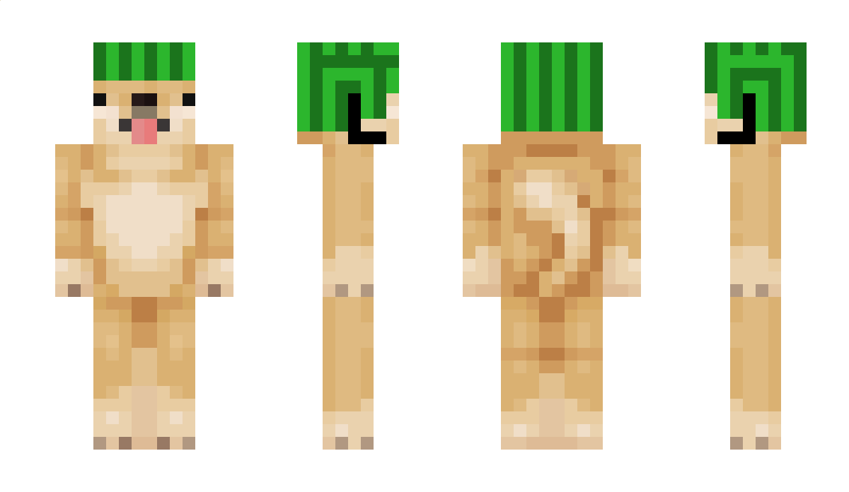 broooooooooooo Minecraft Skin