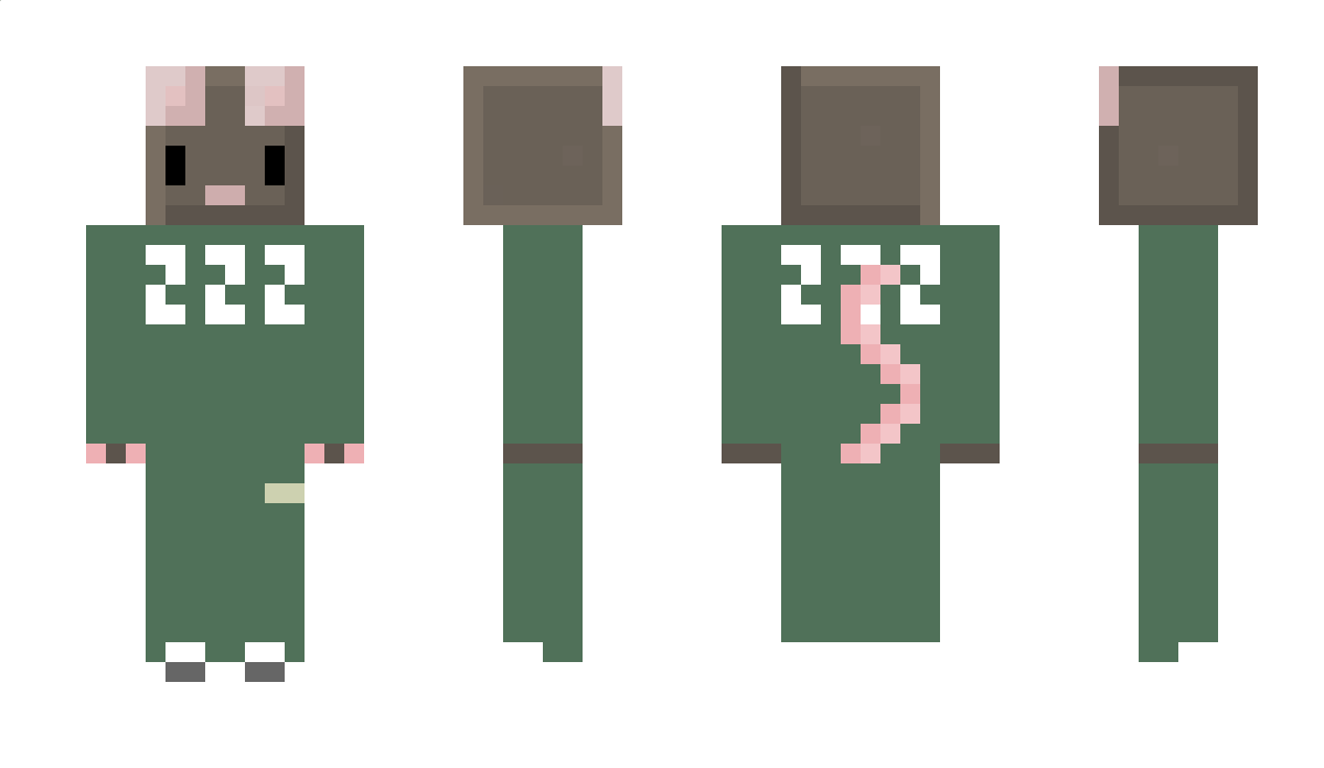 Woksi22 Minecraft Skin