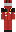 F1_Lover Minecraft Skin