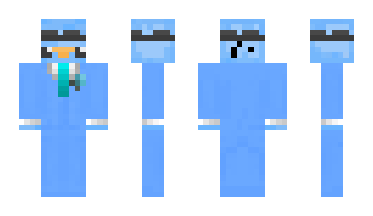 ptaki Minecraft Skin