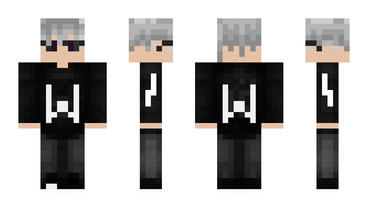 WiseVision Minecraft Skin