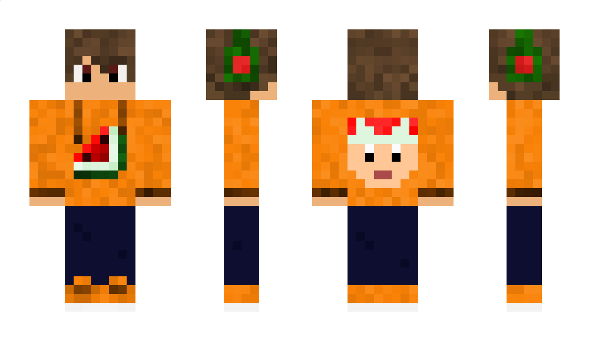 Toaad Minecraft Skin